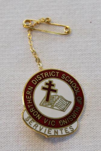 NDSNGA06 Badge-Northern-District-School-of-Nursing